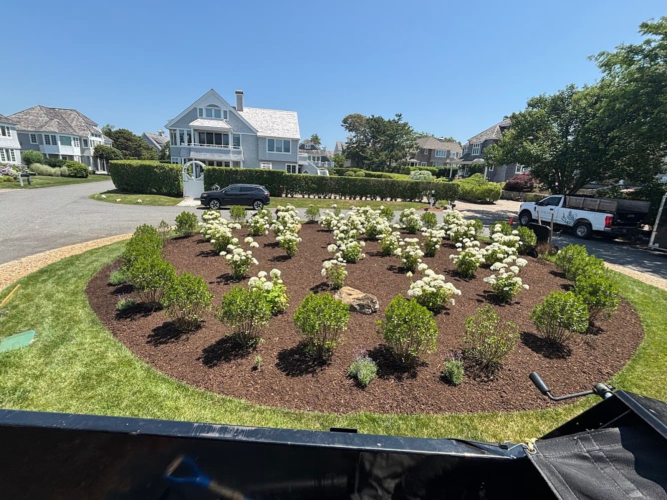 Professional lawn care Cape Cod