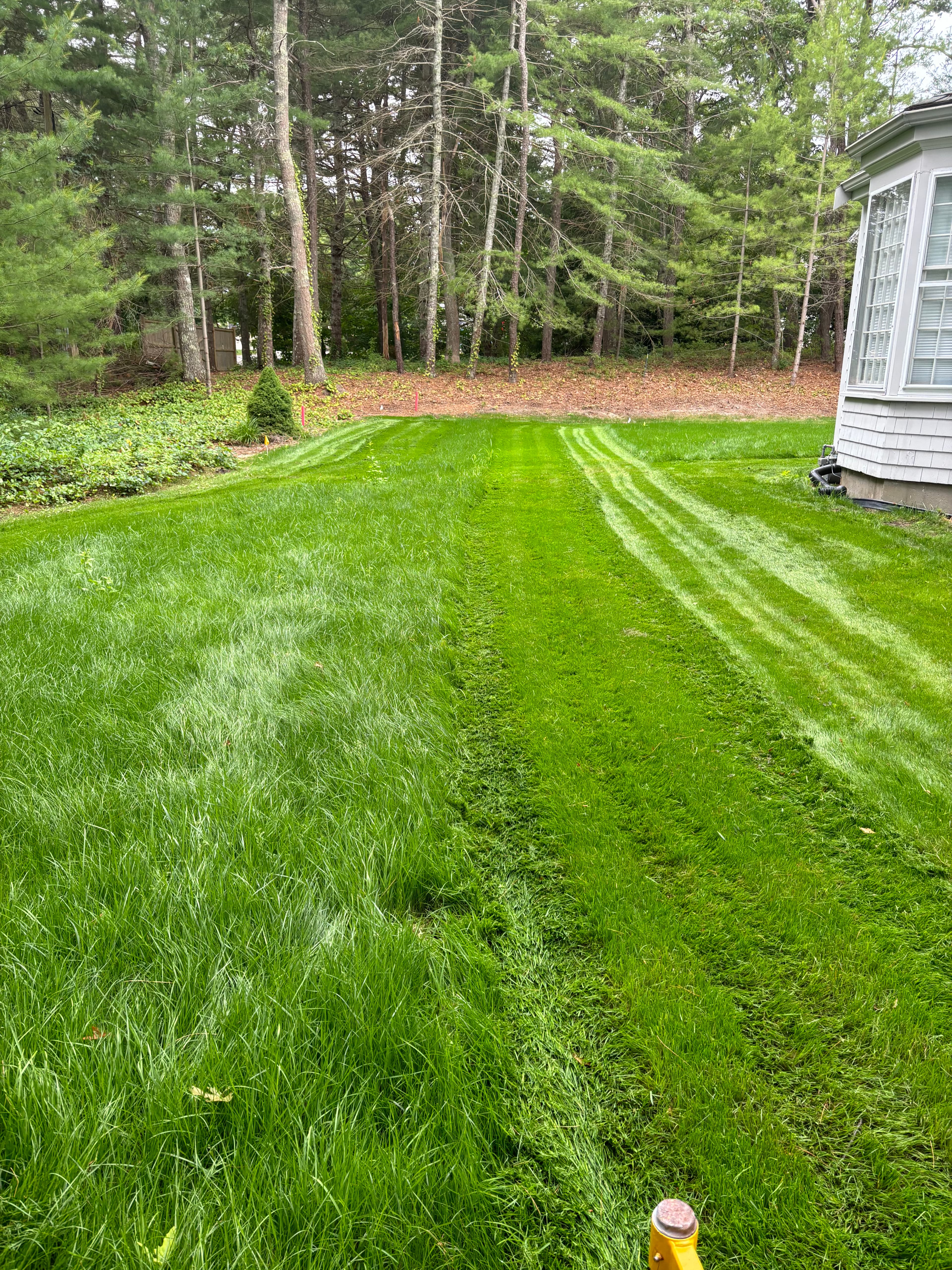 After — Project 3